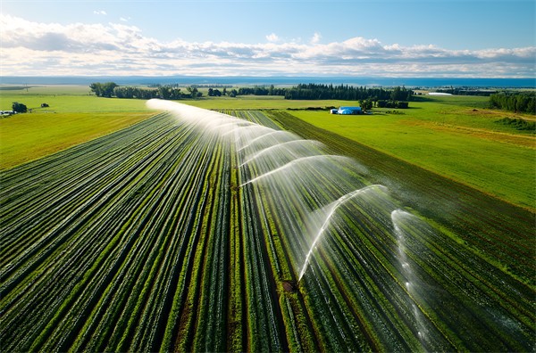 Farm Farm