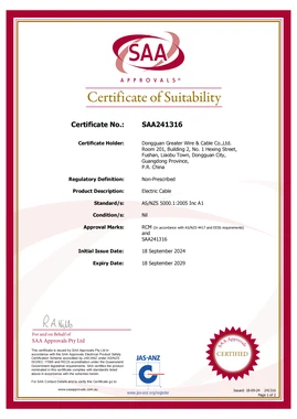 SAA241316 building wire SAA241316 building wire