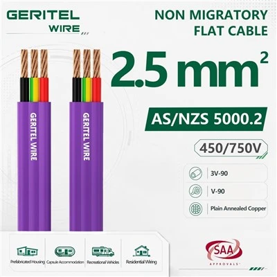 2.5mm Violet 2C+E Flat TPS Cable 450/750V